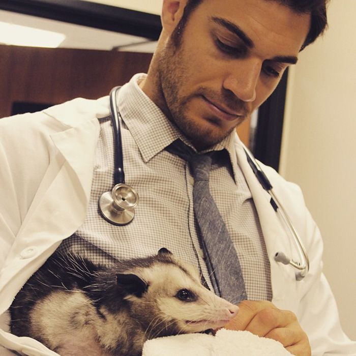 Women Everywhere Are Going Crazy Over This Veterinarian (33 pics)