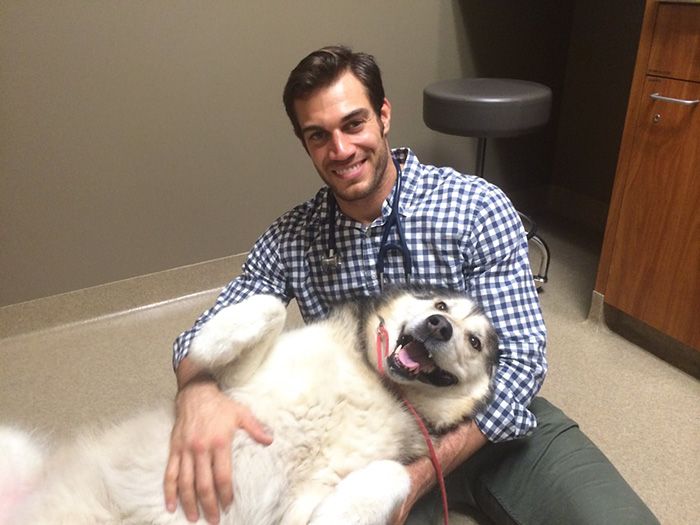 Women Everywhere Are Going Crazy Over This Veterinarian (33 pics)