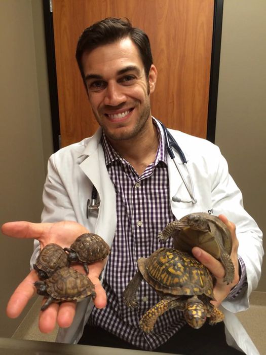 Women Everywhere Are Going Crazy Over This Veterinarian (33 pics)