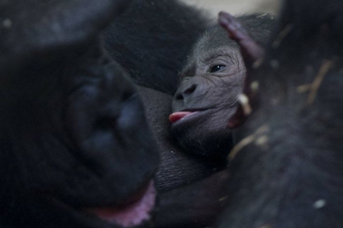 Powerful Photos That Could Change Your Point Of View (22 pics)