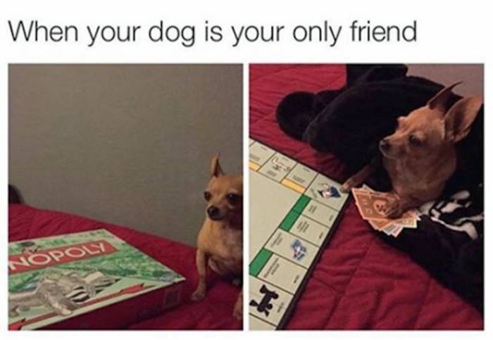 Those Moments When Things Get Completely Out Of Control (42 pics)