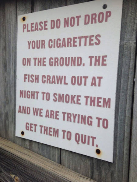 Those Moments When Things Get Completely Out Of Control (42 pics)