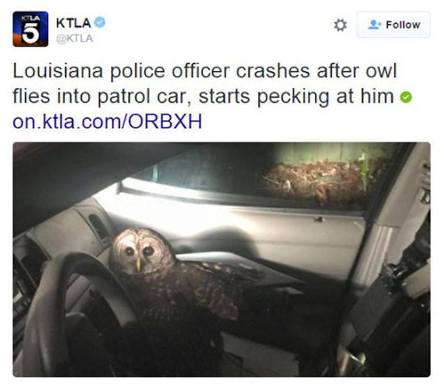 Those Moments When Things Get Completely Out Of Control (42 pics)