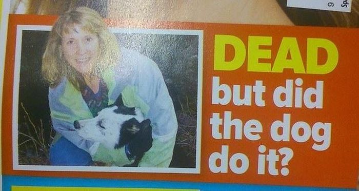 25 Bizarre But True Tabloid Magazine Headlines (25 pics)