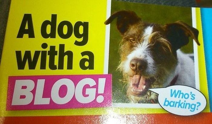 25 Bizarre But True Tabloid Magazine Headlines (25 pics)