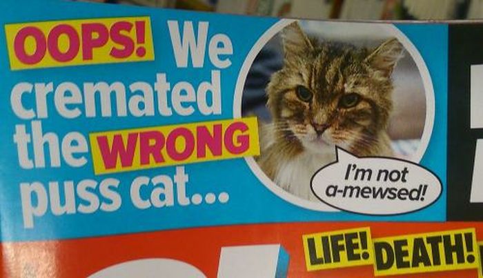 25 Bizarre But True Tabloid Magazine Headlines (25 pics)