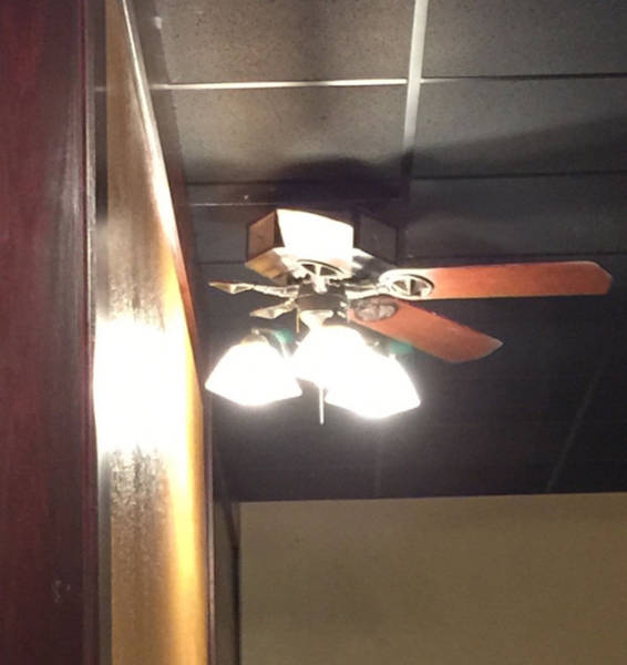 People Who Had One Job And Knocked It Out Of The Park (43 pics)