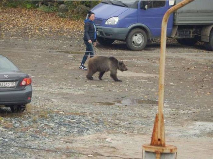 Everyday Life In Russia Is A Little Too Extreme For Most People (40 pics)