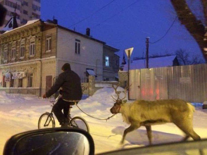 Everyday Life In Russia Is A Little Too Extreme For Most People (40 pics)