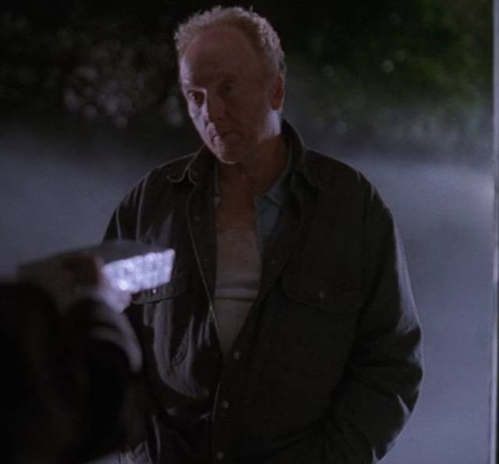 Famous X-Files Guest Stars You Probably Don't Remember Appeared On The Show (34 pics)