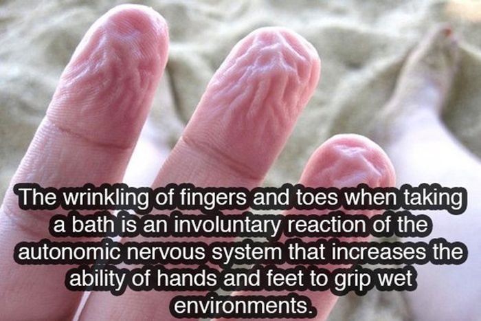 Sit Back And Soak Up Some Knowledge With These Fun Facts (21 pics)