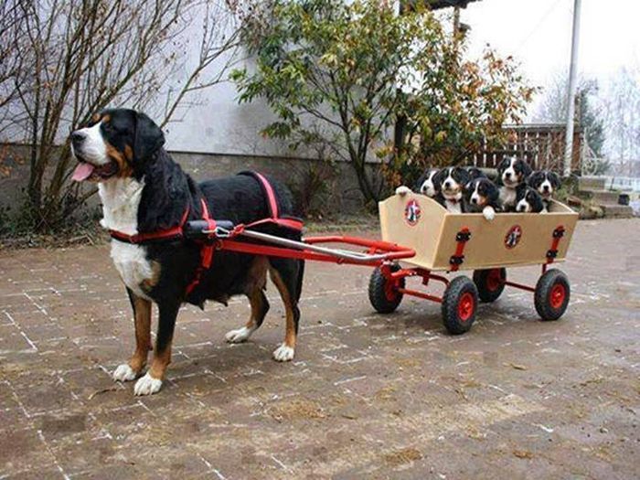 Acid Picdump (94 pics)