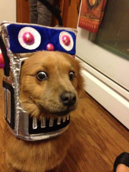 Acid Picdump (94 pics)