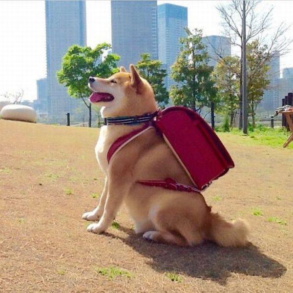 Acid Picdump (94 pics)