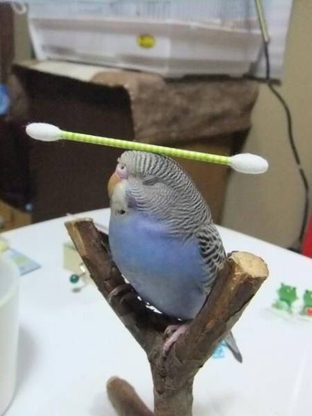 Acid Picdump (94 pics)