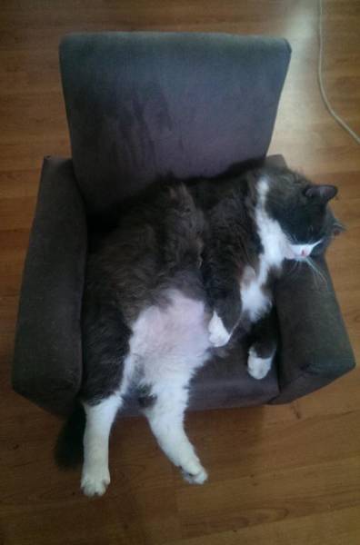 Acid Picdump (94 pics)