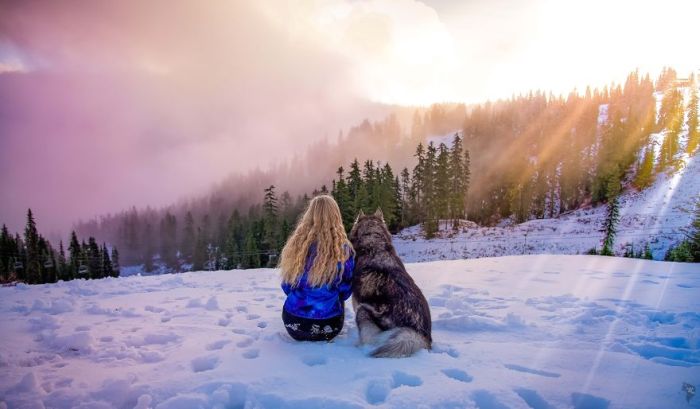 Rescued Husky Saves Woman From An Abusive Relationship (26 pics)