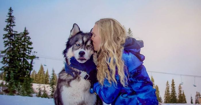 Rescued Husky Saves Woman From An Abusive Relationship (26 pics)