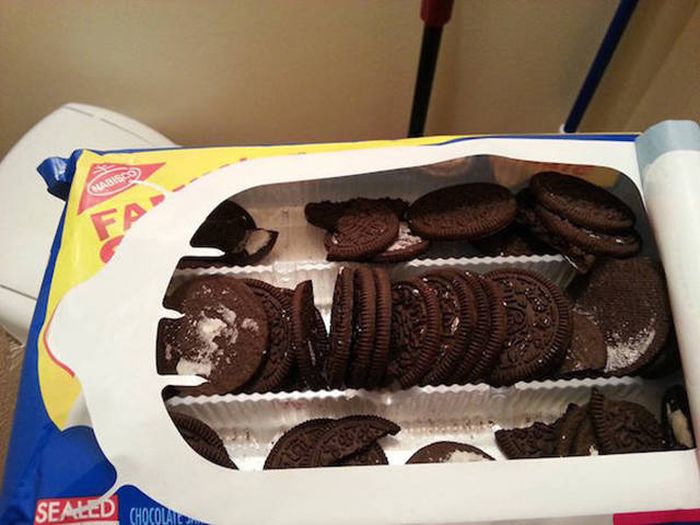 Situations That Took A Turn For The Worst (45 pics)