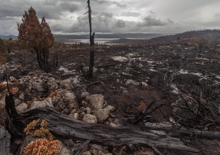 The Island Of Tasmania Has Been Damaged After Fires Burned For A Week (16 pics)