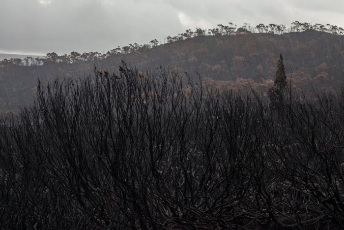 The Island Of Tasmania Has Been Damaged After Fires Burned For A Week (16 pics)
