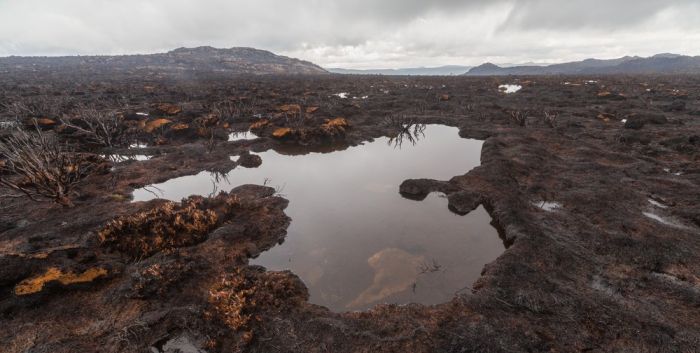 The Island Of Tasmania Has Been Damaged After Fires Burned For A Week (16 pics)