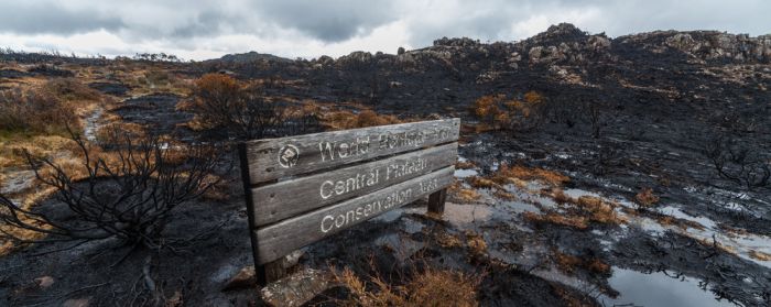 The Island Of Tasmania Has Been Damaged After Fires Burned For A Week (16 pics)