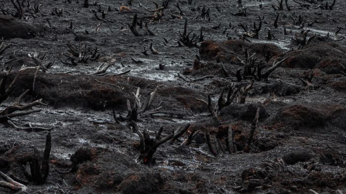 The Island Of Tasmania Has Been Damaged After Fires Burned For A Week (16 pics)