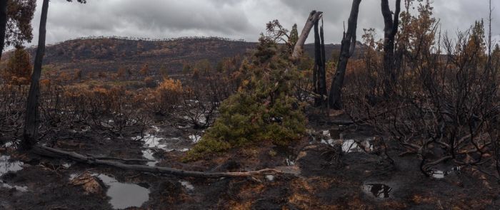 The Island Of Tasmania Has Been Damaged After Fires Burned For A Week (16 pics)