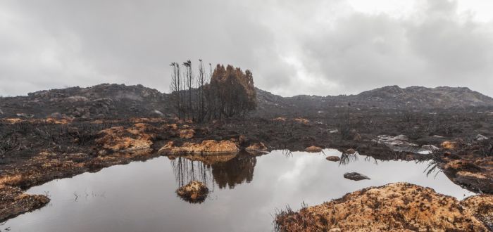 The Island Of Tasmania Has Been Damaged After Fires Burned For A Week (16 pics)