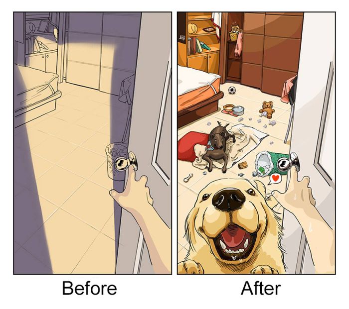 Life With A Dog, Before And After (9 pics)