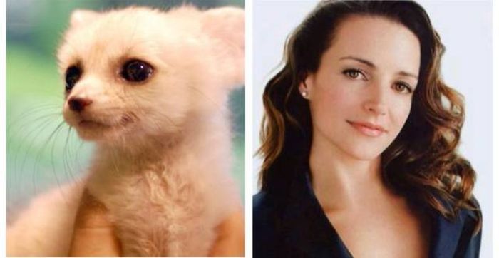 Celebrities Side By Side With Their Animal Doppelgangers (58 pics)