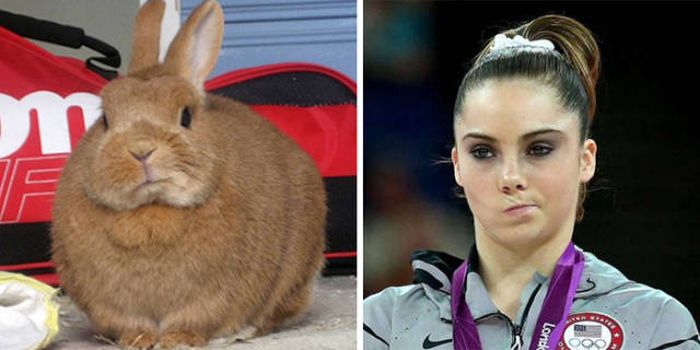 Celebrities Side By Side With Their Animal Doppelgangers (58 pics)