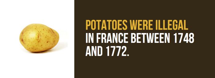 Fun Facts You Need To Know About France (33 pics)