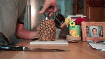 Pictures And Gifs That Reached For Perfection And Delivered (40 pics)