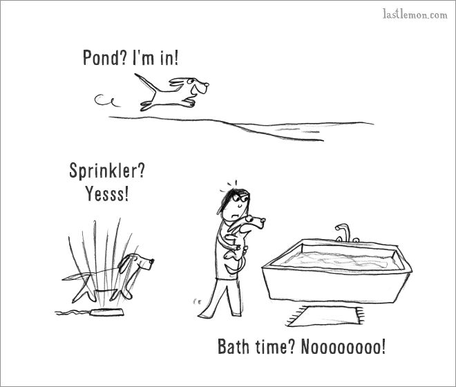 The Ultimate Guide On How To Be A Dog (18 pics)