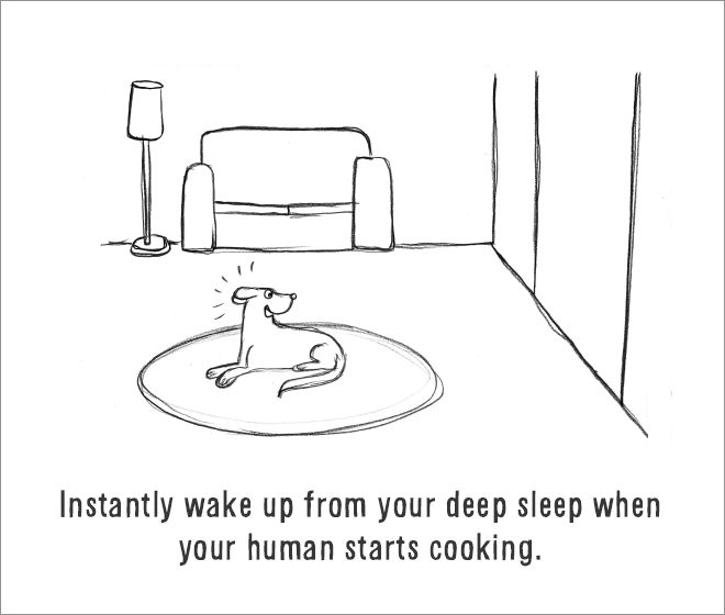 The Ultimate Guide On How To Be A Dog (18 pics)