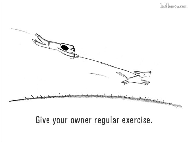 The Ultimate Guide On How To Be A Dog (18 pics)