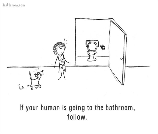 The Ultimate Guide On How To Be A Dog (18 pics)