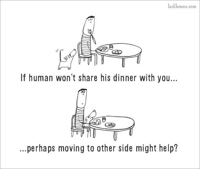 The Ultimate Guide On How To Be A Dog (18 pics)