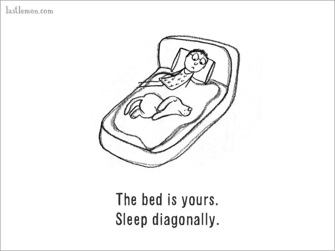 The Ultimate Guide On How To Be A Dog (18 pics)