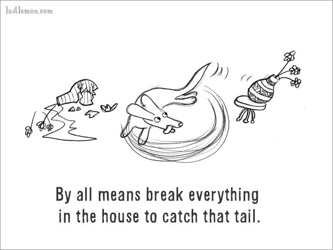 The Ultimate Guide On How To Be A Dog (18 pics)