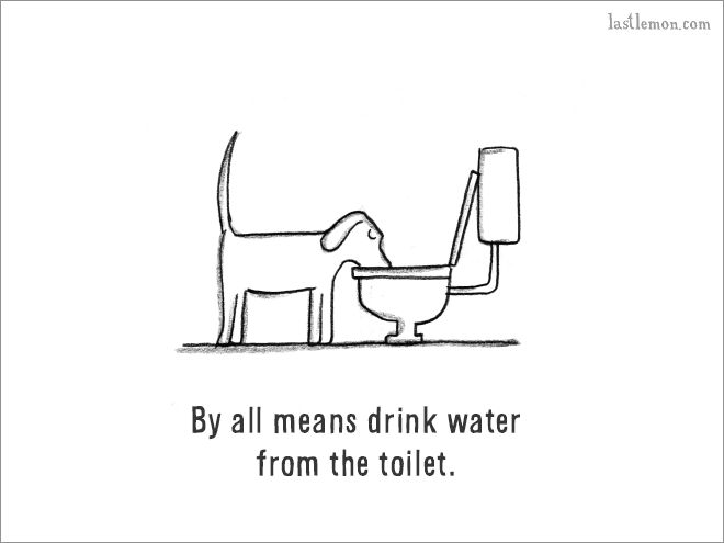 The Ultimate Guide On How To Be A Dog (18 pics)