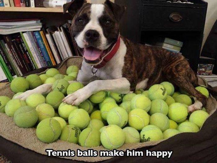 Acid Picdump (106 pics)