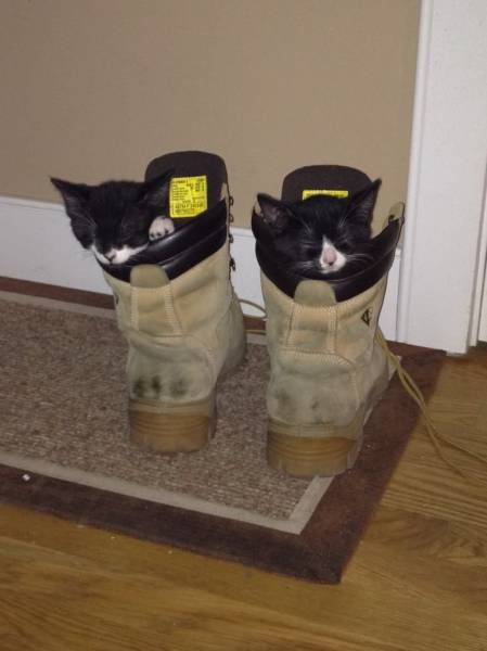 Acid Picdump (106 pics)
