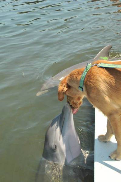 Acid Picdump (106 pics)
