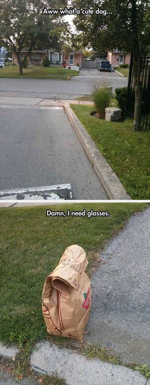 Acid Picdump (106 pics)
