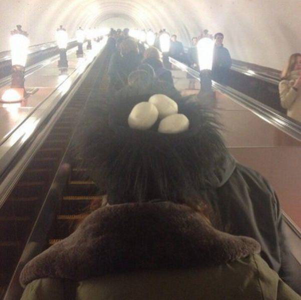 Acid Picdump (106 pics)