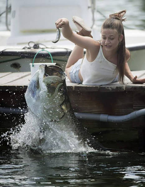 Acid Picdump (106 pics)
