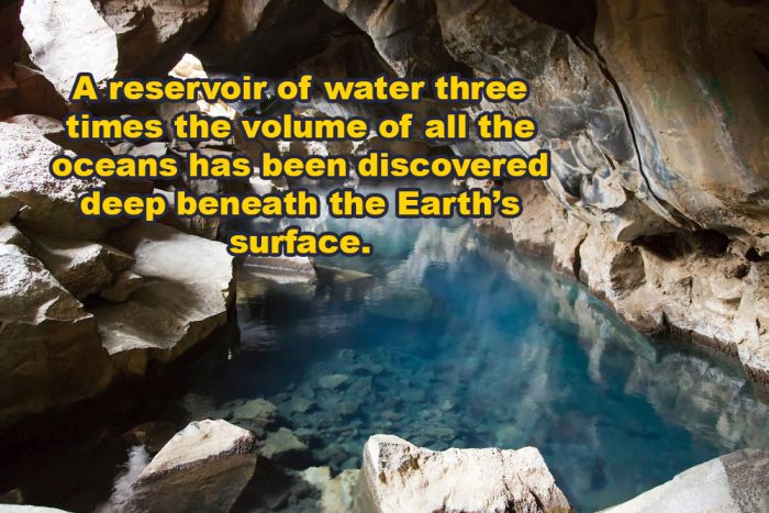 Knowledge Is A Weapon So Arm Your Brain With These Fascinating Facts (20 pics)